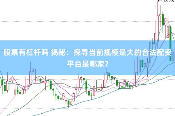 股票有杠杆吗 揭秘：探寻当前规模最大的合法配资平台是哪家？