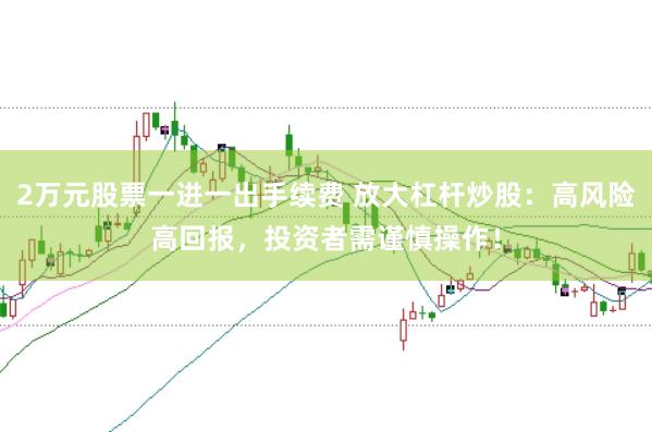 2万元股票一进一出手续费 放大杠杆炒股：高风险高回报，投资者需谨慎操作！
