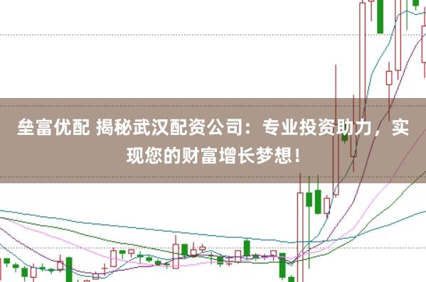 垒富优配 揭秘武汉配资公司：专业投资助力，实现您的财富增长梦想！