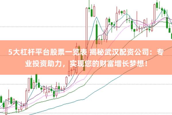 5大杠杆平台股票一览表 揭秘武汉配资公司：专业投资助力，实现您的财富增长梦想！