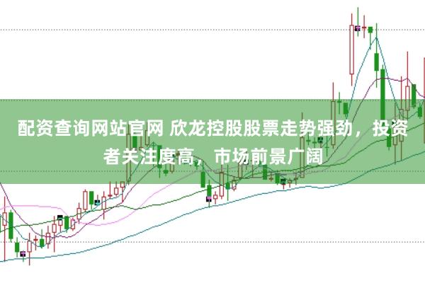 配资查询网站官网 欣龙控股股票走势强劲，投资者关注度高，市场前景广阔
