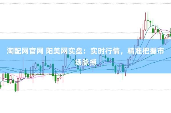 淘配网官网 阳美网实盘：实时行情，精准把握市场脉搏
