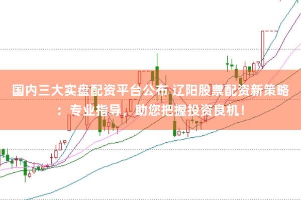 国内三大实盘配资平台公布 辽阳股票配资新策略：专业指导，助您把握投资良机！