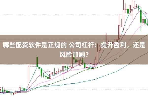 哪些配资软件是正规的 公司杠杆：提升盈利，还是风险加剧？