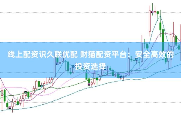 线上配资识久联优配 财猫配资平台：安全高效的投资选择