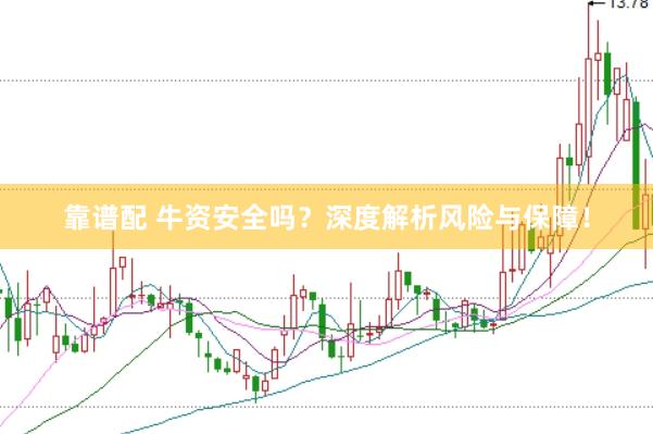 靠谱配 牛资安全吗？深度解析风险与保障！